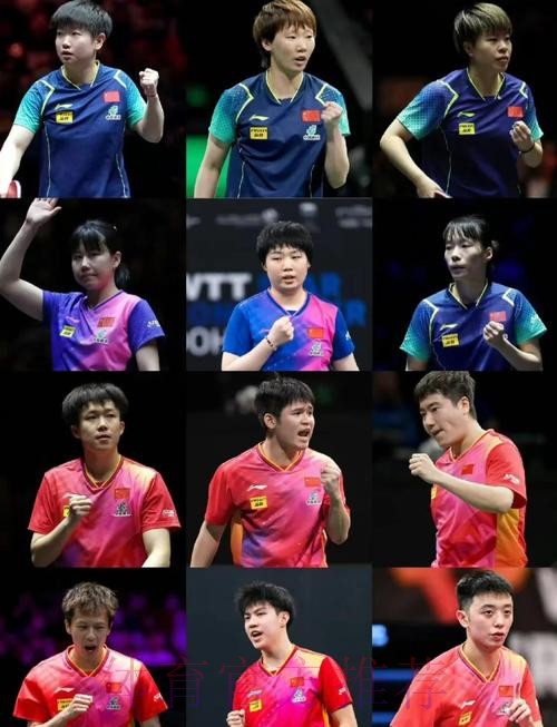 亚洲杯国乒阵容公布